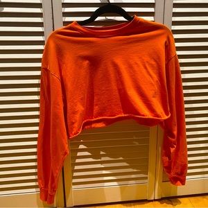 Aritzia Cropped T-Shirt